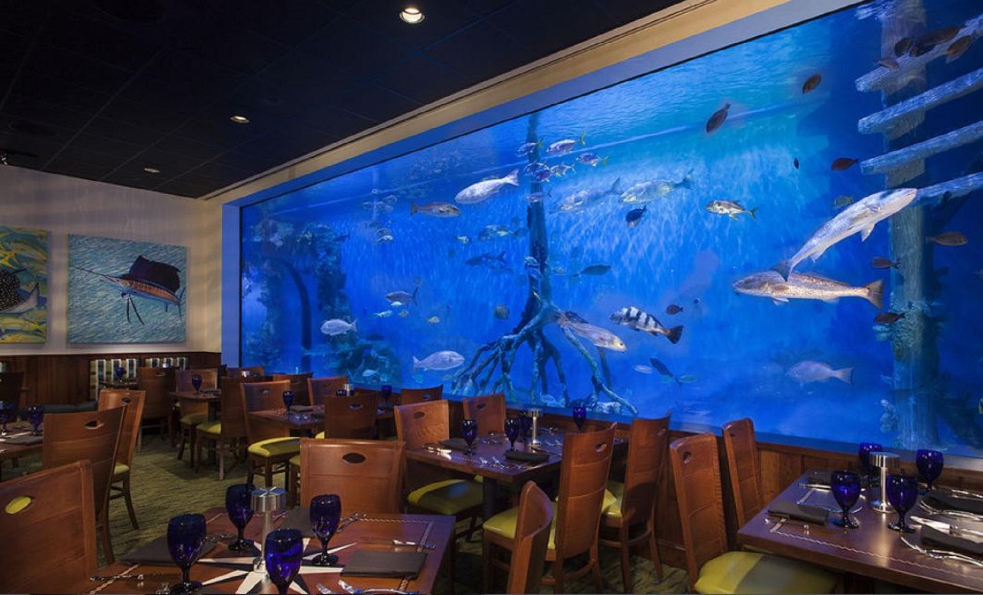 Rumfish Beach At Tradewinds St. Pete Beach Esterno foto